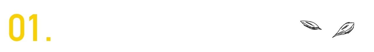 赢在职场的100个箴言_职场赢家_我赢职场和麦子