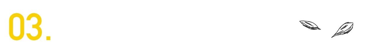 职场赢家_我赢职场和麦子_赢在职场的100个箴言