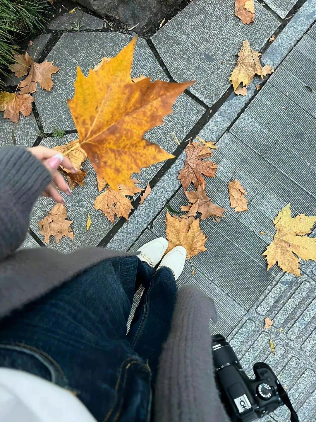 职场人际关系22条法则_职场法则人际关系_职场的人际关系处理