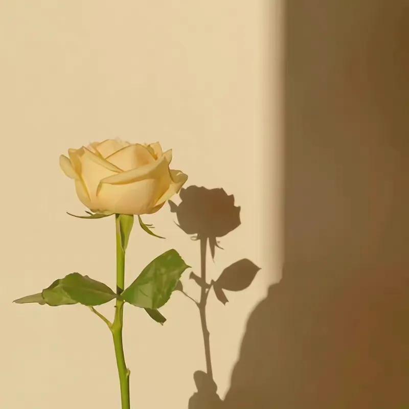 职场法则人际关系_职场的人际关系处理_职场人际关系22条法则