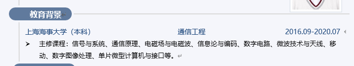 项目负责人通讯录_简历通信填啥_通信项目负责人简历模板