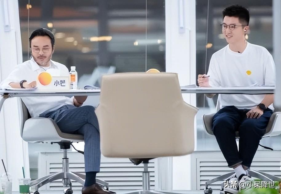 国内职场综艺_职场类综艺节目2021_国外职场综艺节目