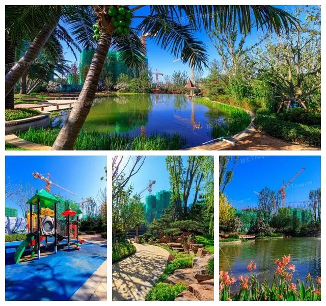 凤台碧桂园房价多少啊_凤台县碧桂园房子价格_凤台县碧桂园