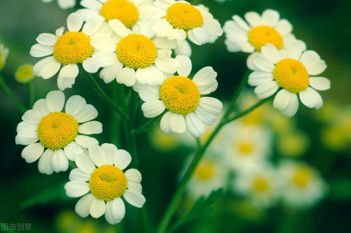 职场冷暴力及应对技巧_如何面对职场暴力_职场暴力应对方法