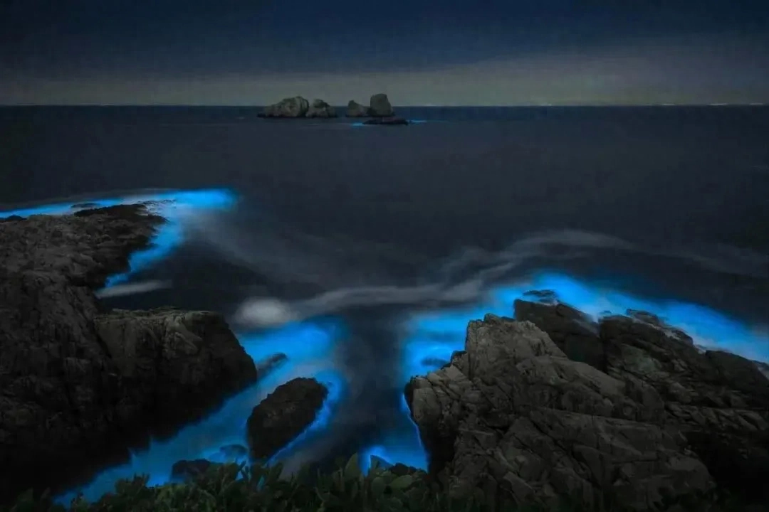 职场中的压力管理_职场压力管理法则答案_职场压力管理的解决方案