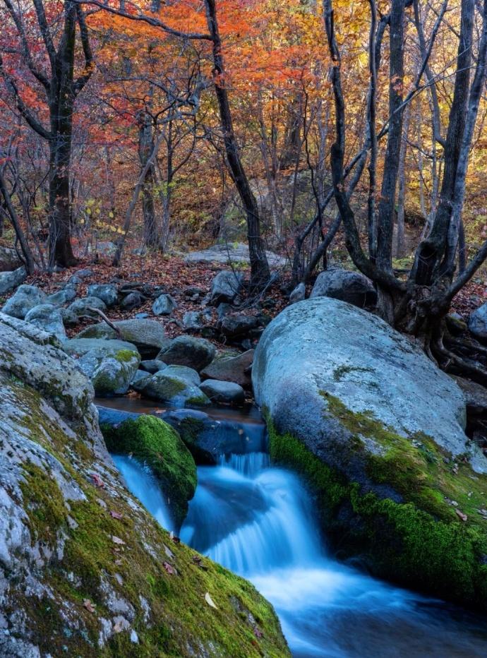 继续做全职妈妈,还是回归职场?探讨不同的选择及其影响(图3) 产后返回职场如何调整心态_产后返职场妈妈_产后返岗