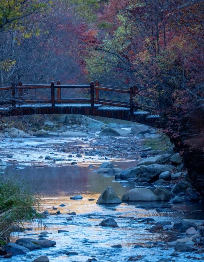 继续做全职妈妈,还是回归职场?探讨不同的选择及其影响(图8) 产后返岗_产后返回职场如何调整心态_产后返职场妈妈