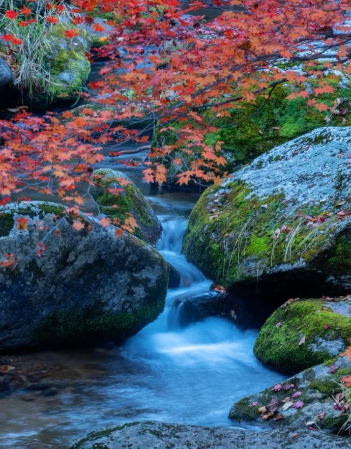 继续做全职妈妈,还是回归职场?探讨不同的选择及其影响(图9) 产后返岗_产后返职场妈妈_产后返回职场如何调整心态