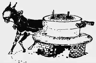 一头去上班的驴,太经典了!(深度好文)(图4) 养20头驴得投资多少_一头驴的职场故事_驴拉磨的职场寓言故事