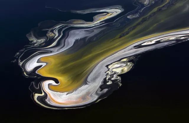 延吉蛋糕店招聘_黑天鹅蛋糕店招聘_黑蝴蝶蛋糕店