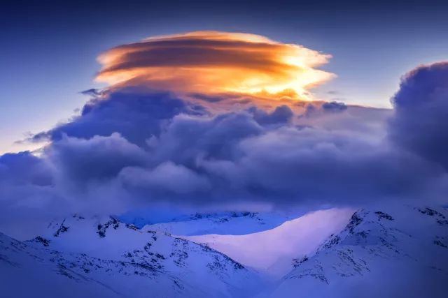 延吉蛋糕店招聘_黑天鹅蛋糕店招聘_黑蝴蝶蛋糕店