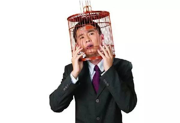 Bar友徐峰:职场菜鸟是一种怎样的体验?(图3) 职场老道_老职场是什么意思_职场初老族