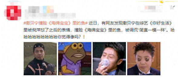 央视主持人撒贝宁简历_央视女主持叶迎春简历_央视撒贝宁主持的节目