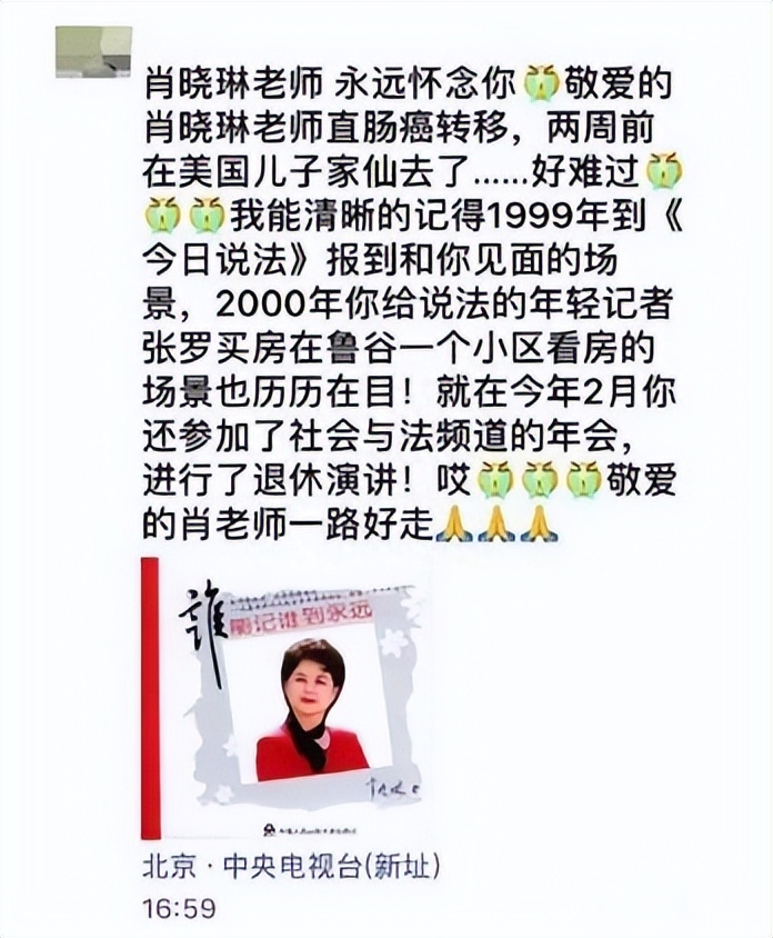 央视节目主持人撒贝宁简历_央视主持人撒贝宁简历_央视主持人撒贝宁主持的节目