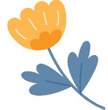 尔雅通识课礼仪与社交_职场社交礼仪培训_实用社交礼貌礼仪教程