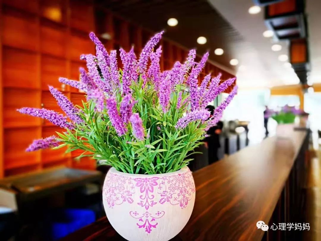 职场妈妈的优势_职场妈妈优秀_职场妈妈语录