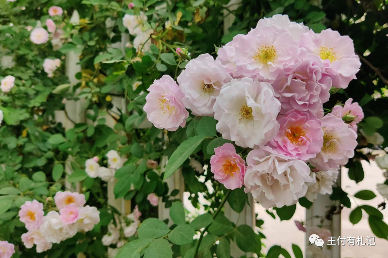 职场关键能力_职场关键能力论文_职场关键能力论文参考文献
