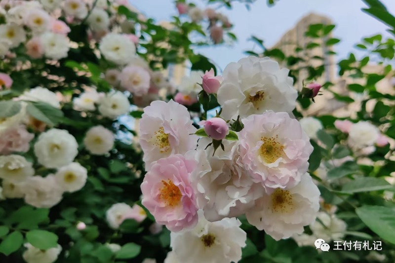 职场关键能力_职场关键能力论文_职场关键能力论文参考文献