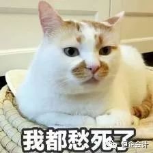 职场竞争技巧心得体会_职场竞争技巧有哪些_职场竞争技巧