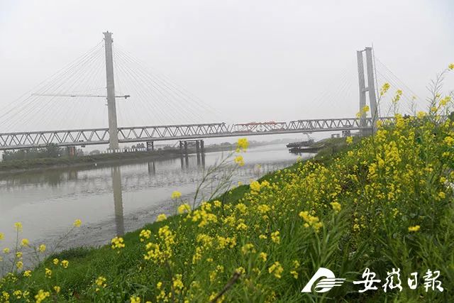 商杭高铁站_商杭高铁怎么停运了_商杭高铁 凤台