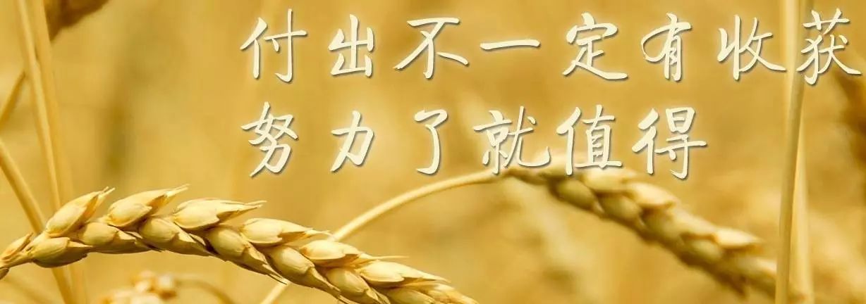 职场哲理励志故事小说_职场励志哲理小故事_职场哲理小故事短篇