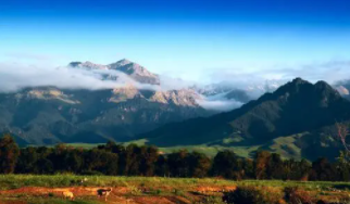 职场励志哲理小故事_励志职场故事_哲理励志故事及感悟