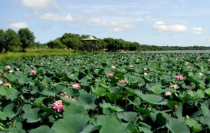 励志职场故事_哲理励志故事及感悟_职场励志哲理小故事