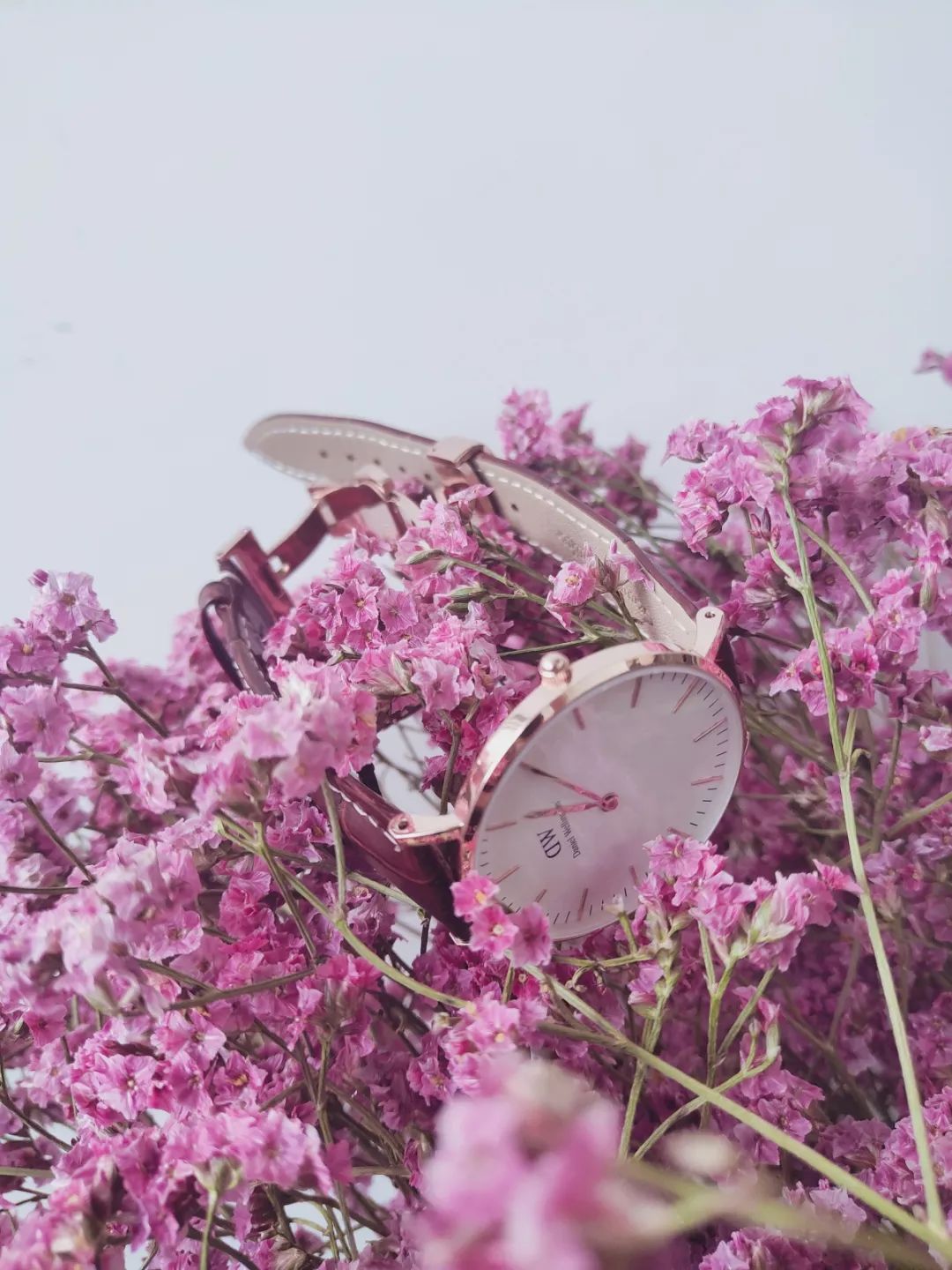 举手应该举左手还是举右手_职场男人手表应该左手还是右手_手表女士戴在左手还是右手