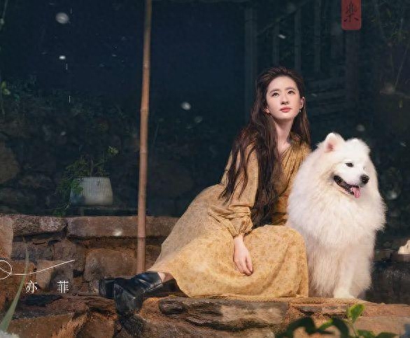 职场电视剧2020推荐_职场电视剧有哪些好看_职场电视剧哪个好看