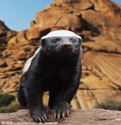 知乎职场圈_知乎职场故事_国内职场知乎