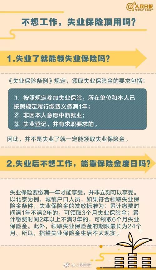 职场求职类节目_职场求职节目_求职节目2020