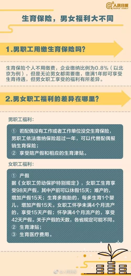 职场求职类节目_职场求职节目_求职节目2020