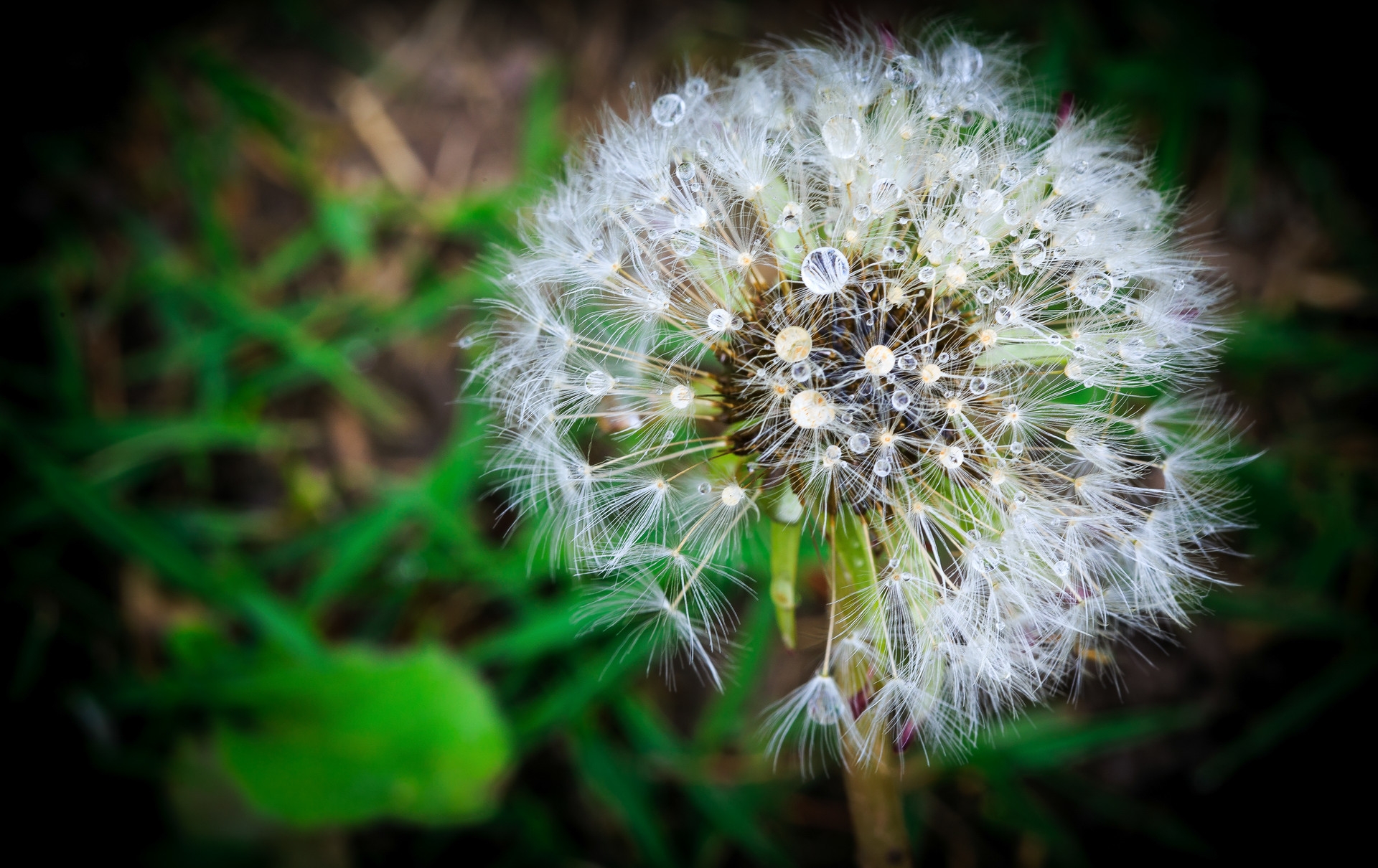 职场女性_职场女人上位秘密小说_职场上的女人