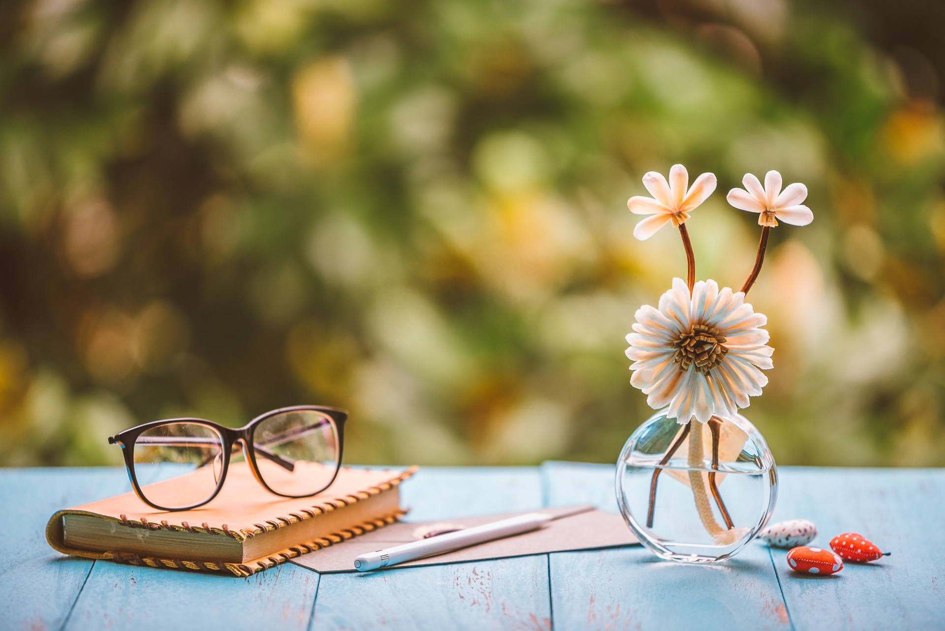 职场女人上位秘密小说_职场女性_职场上的女人