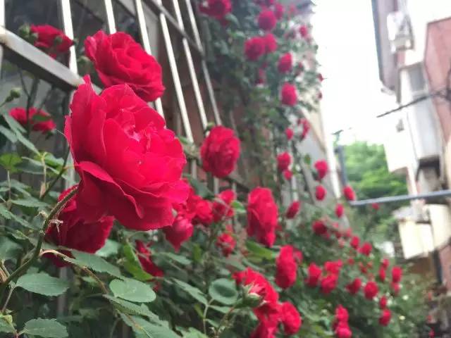 西西弗书店招聘兼职_西西弗书店招聘_西西弗书店招聘要求