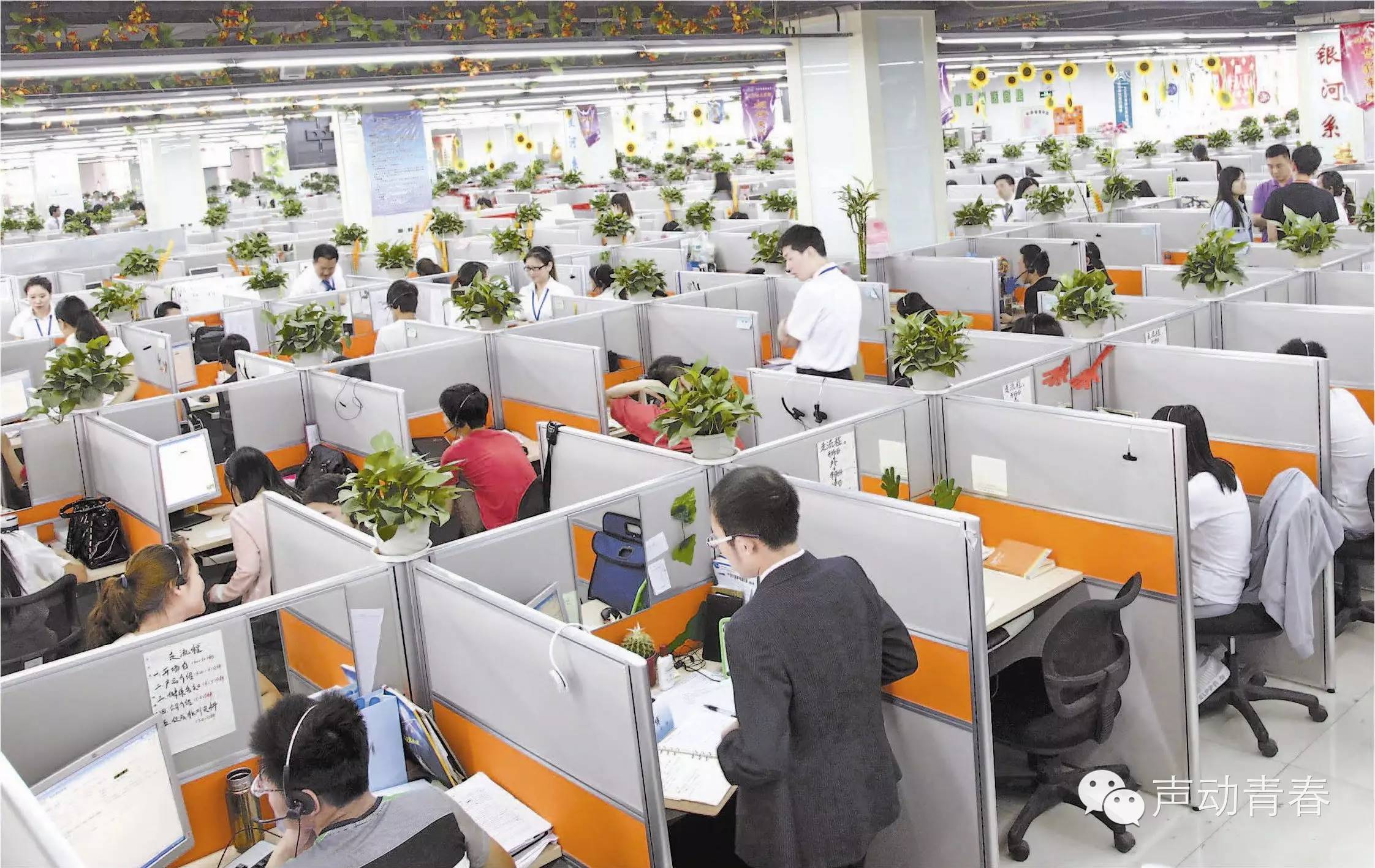 电销职场_电销企业网络电话包月_微销和电销哪个比较好