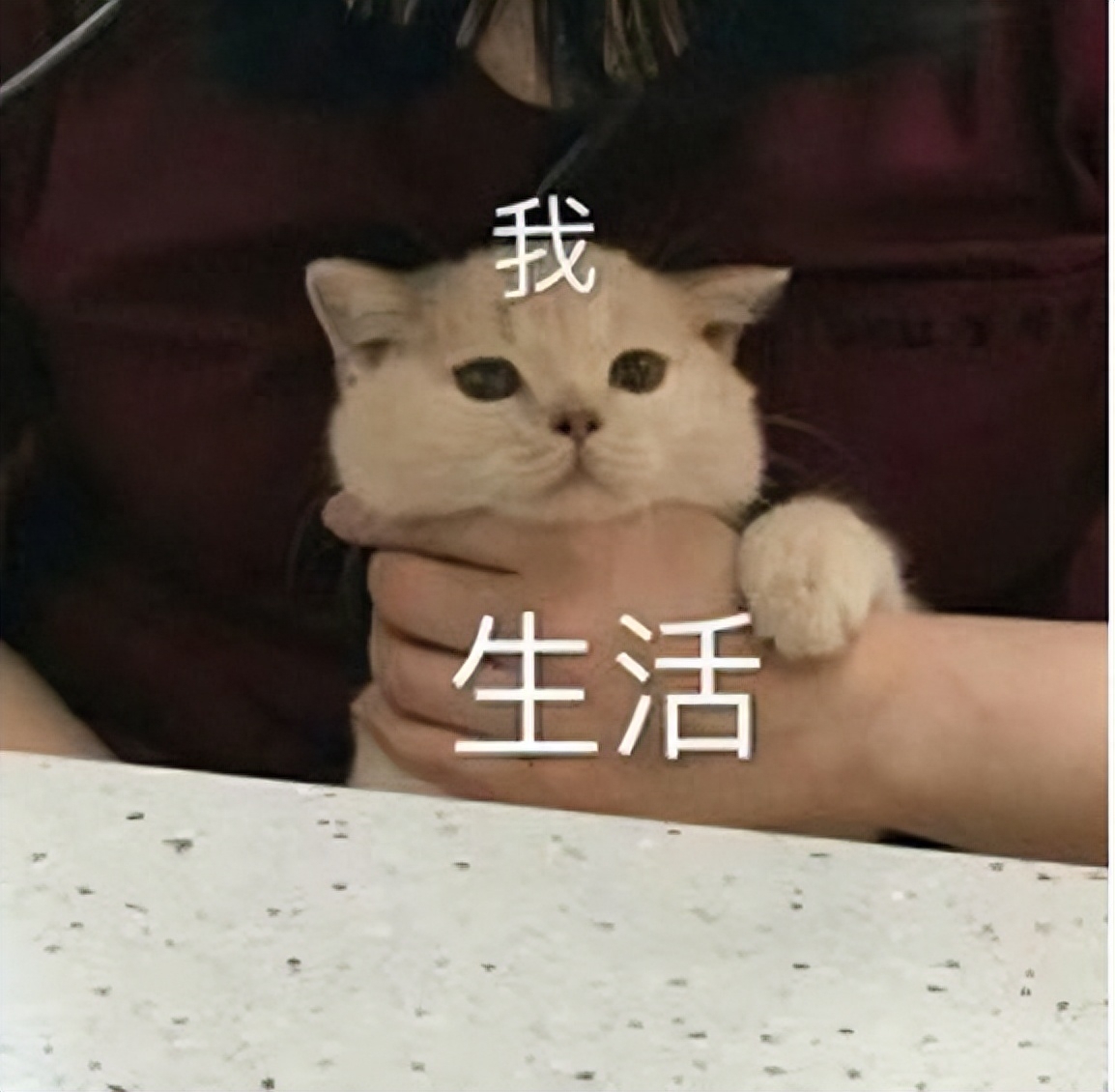 哪些人跑去日本当程序员,谈不上在日本地位(图2) 日语毕业感谢信_日语毕业论文答辩开场白_日语毕业生简历