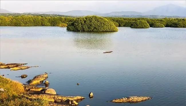 以“道”相通,未来世界宗教革新(人类和谐共存)(图1) 职场智慧之道_38则职场智慧_人在职场智慧修炼