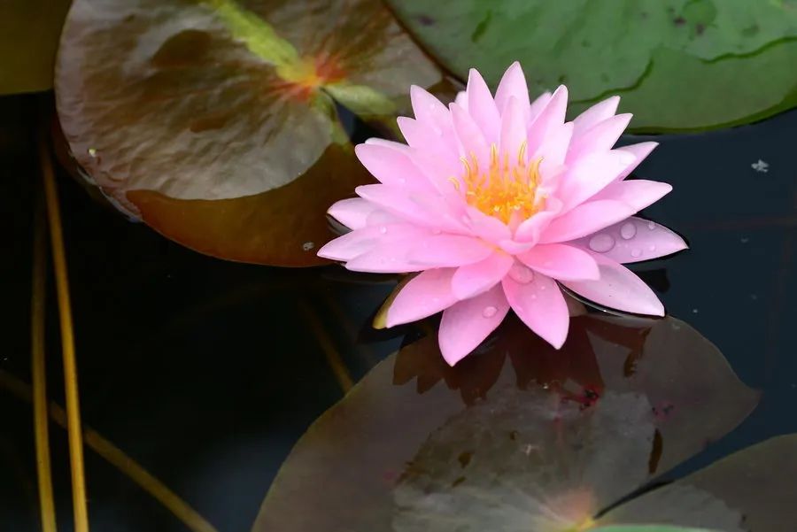 以“道”相通,未来世界宗教革新(人类和谐共存)(图5) 38则职场智慧_人在职场智慧修炼_职场智慧之道