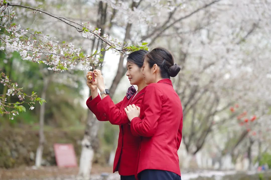 火车员招聘乘务员吗_火车乘务员招聘_火车跟单员招聘