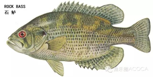 职场渔夫_职场渔乐圈钓鱼_职场渔乐圈