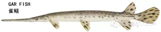 职场渔夫_职场渔乐圈钓鱼_职场渔乐圈