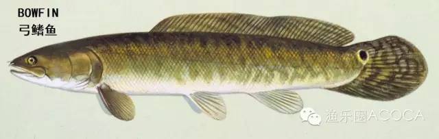 职场渔夫_职场渔乐圈_职场渔乐圈钓鱼