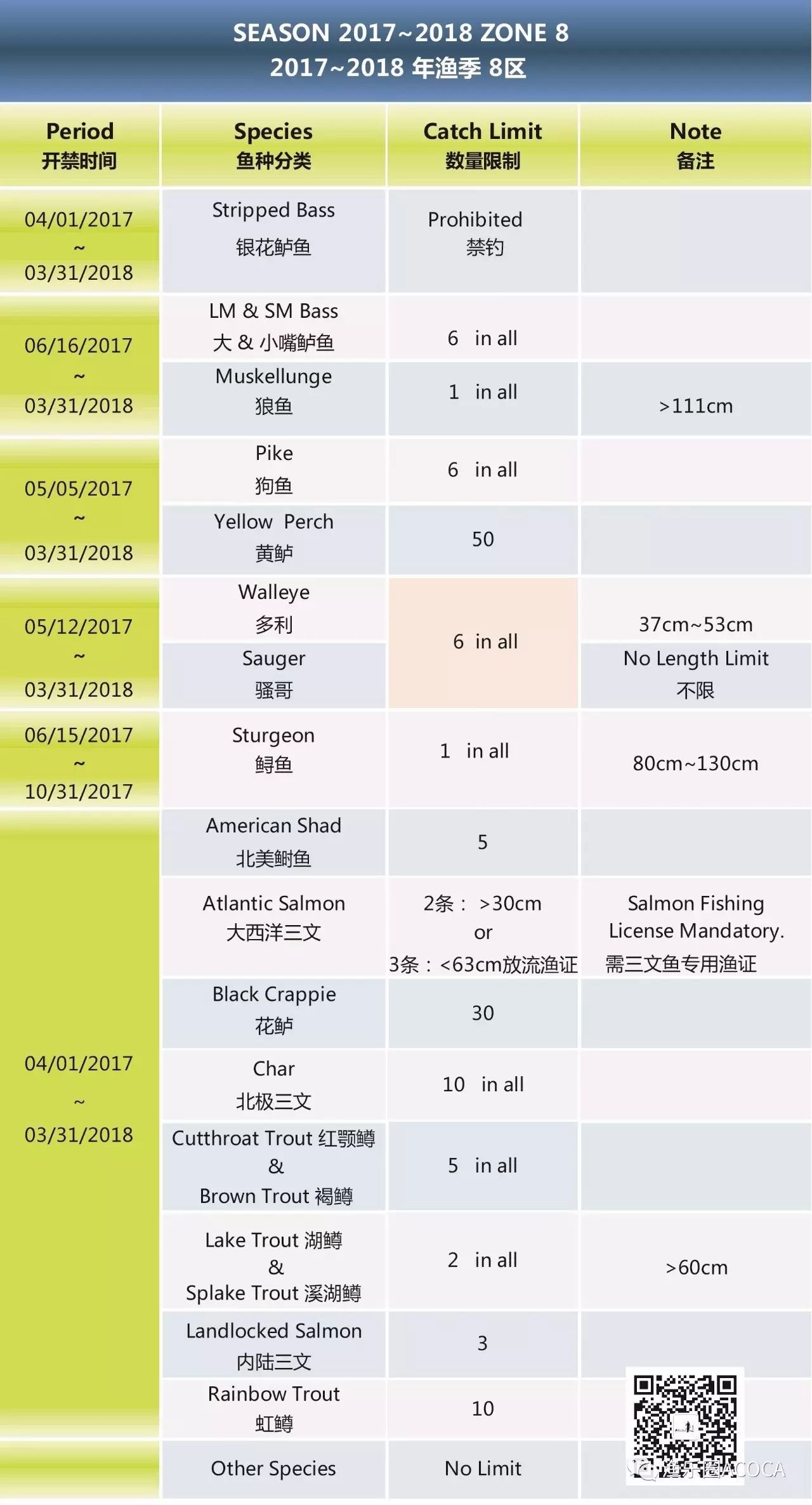 职场渔乐圈钓鱼_职场渔乐圈_职场渔夫