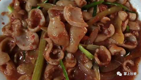 职场渔乐圈欢乐中国年_职场渔夫_职场渔乐圈