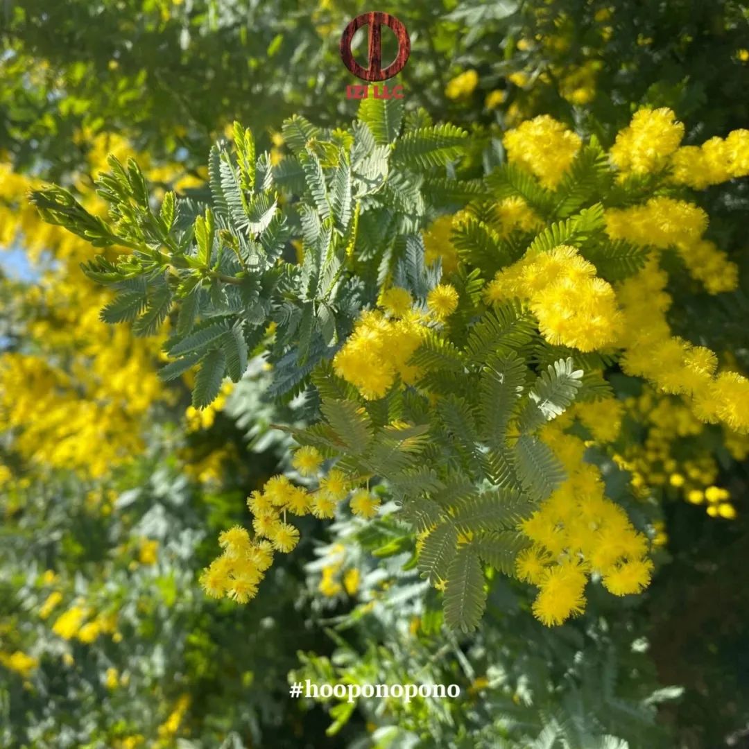 小女生职场修行记书_小女生职场修行记故事真假_小女生职场修行记