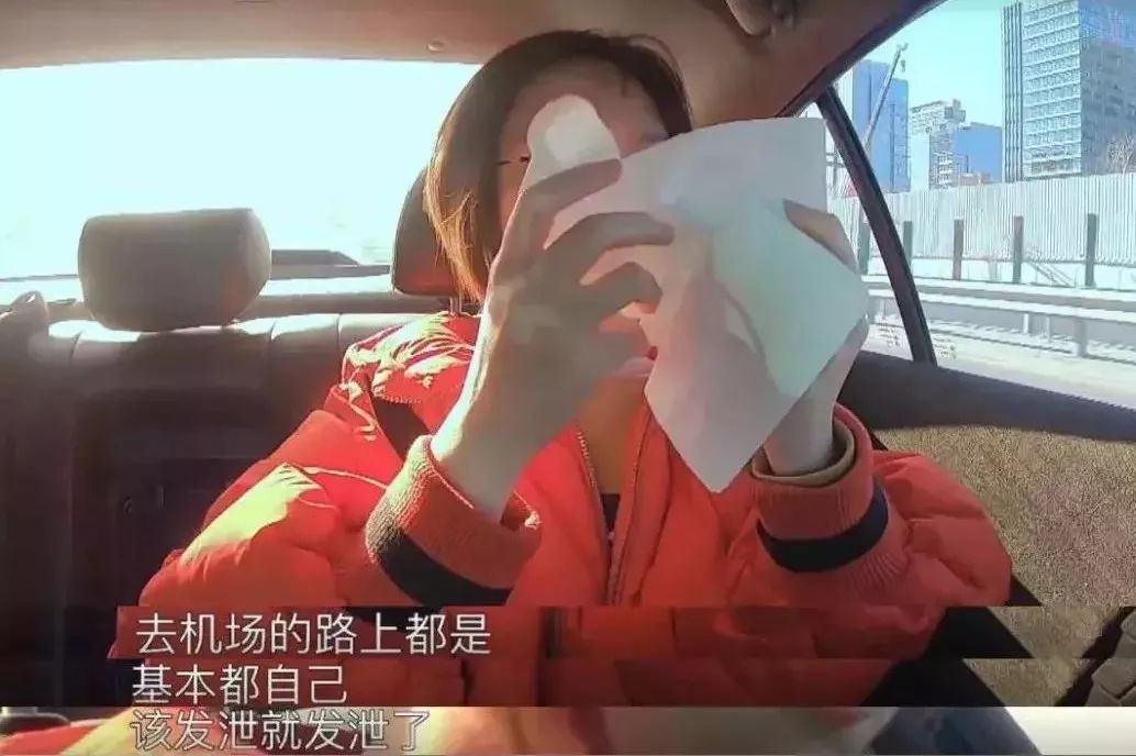 电视职场真人秀节目_职场真人秀节目有哪些_辰亦儒真人秀节目