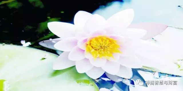 青岛市区面点师招聘_青岛招聘素食面点师信息_青岛素食招聘面点师