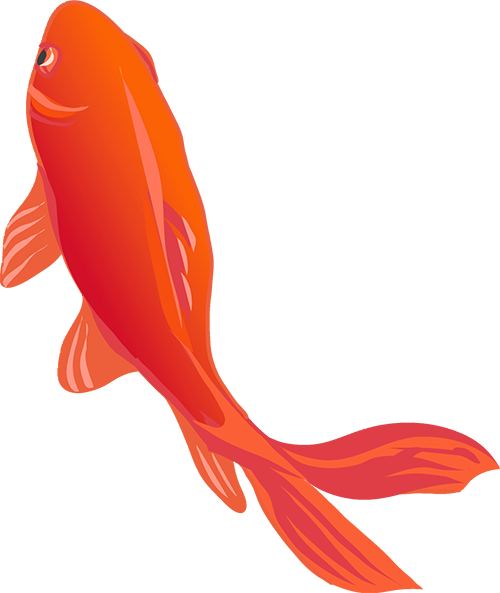 简历背景图片清新_简历背景高清图_大学生简历背景图片