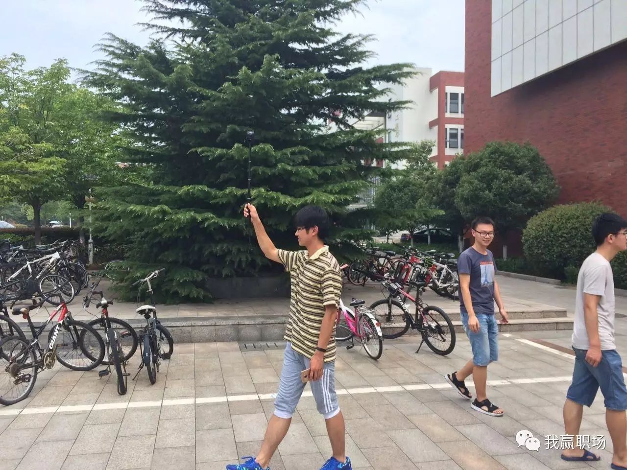 我赢职场培训_职场培训内容_职场培训是什么意思